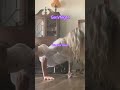 DON T TRY THIS AT HOME Yoga Shorts GenVNight DON T TRY THIS AT HOME Yoga Shorts GenVNight