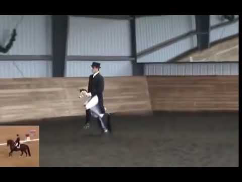 old-town-road-hobby-horse-dressage-funny-dance