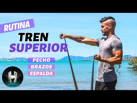 Rutina BRAZOS en casa ? |  Tren superior para principiantes!