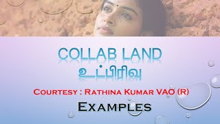 Sub Division in Collab Land Examples