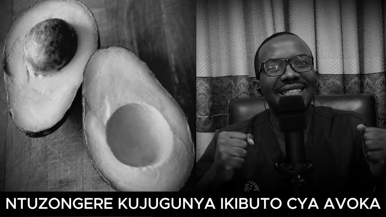 NTUZONGERA KUJUGUNYA IKIBUTO CYA AVOKA NUMARA KUMVA IKI KIGANIRO // MENYA UKO WAGIKORESHA NK'UMUTI