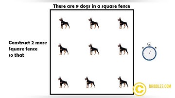 Isolate Nine Dogs Square Fence