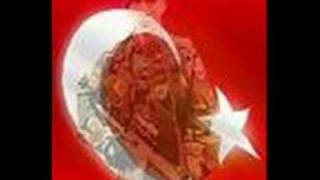 Sehitler Ölmez Vatan Bölünmez