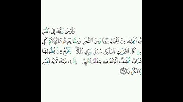 16 - سورة النحل ٦٨-٦٩ - خالد الجليل