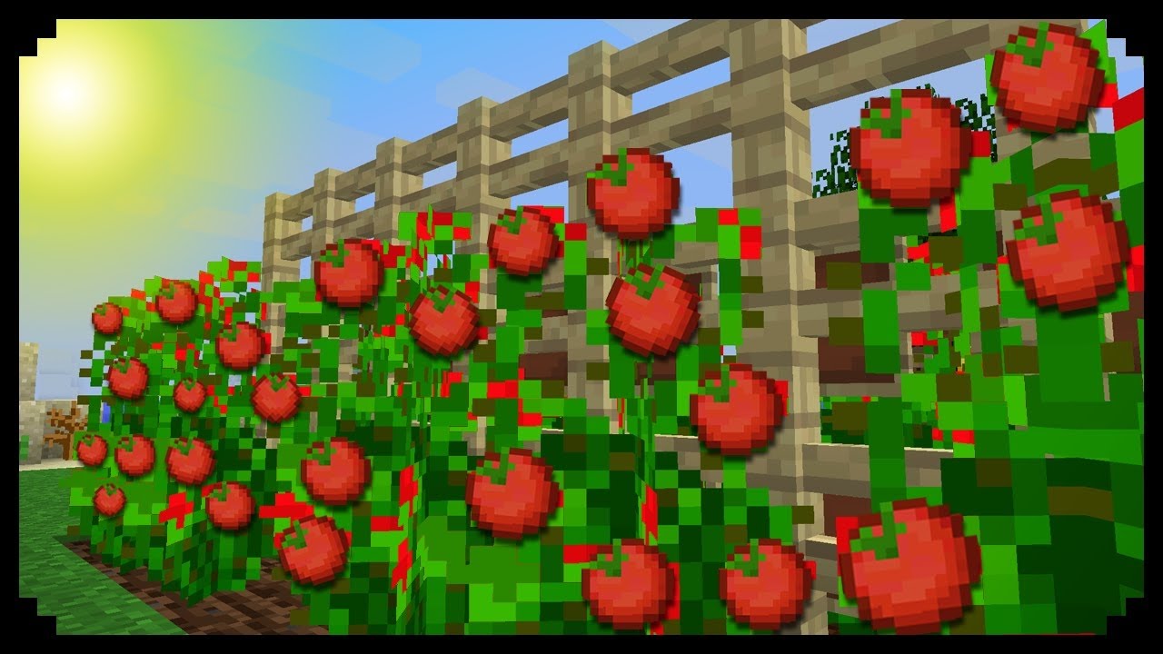 * Minecraft: How to make Tomato Plants
