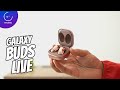 Samsung Galaxy Buds Live | Review en español
