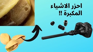 close up objects quiz#shorts  food in macro
