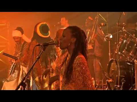 Tiken Jah Fakoly - Live in Paris 2008