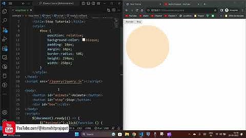 jQuery Stop() Method | Animation Stop - jQuery JS Library Tutorial