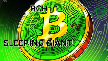 Bitcoin Cash: The Sleeping Giant of Crypto You Can Use Today!