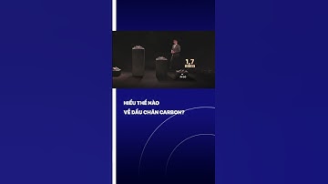 Hiểu thế nào về dấu chân carbon?| VTVMoney