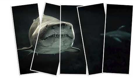 Photoshop Tutorial | Vertical Photo Panels Effect with Photoshop 2024