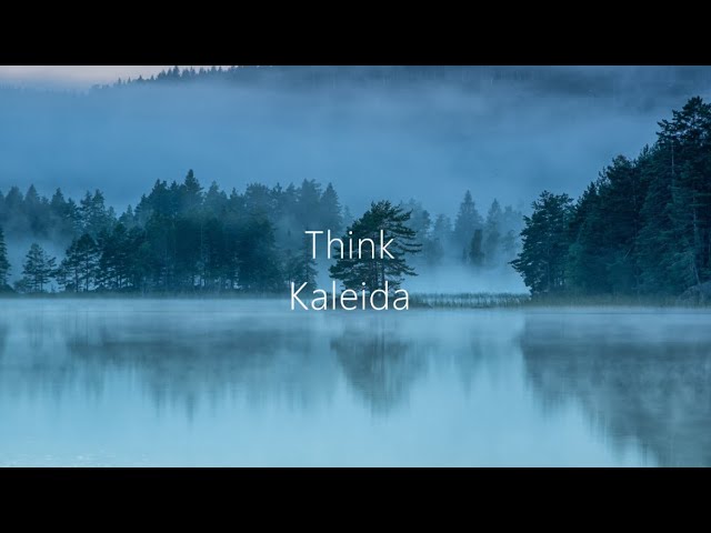 Think (Lyric Video). Kaleida class=
