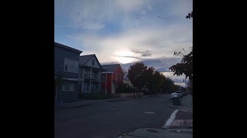 Mixxxzi - Out My Dads Spot Freestyle