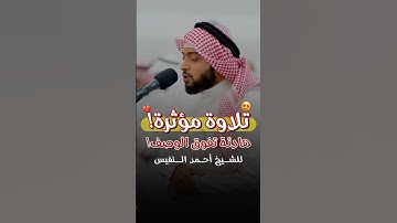 تلاوة مؤثرة وهادئة! - للشيخ أحمد النفيس🤍🎧..