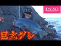 ダイソーの釣り具はガチのふかせ釣りに使えるか？【神回】