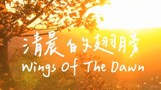 清晨的翅膀 Wings Of The Dawn | 等候神音樂 | 靈修音樂Piano Soaking Music | Instrumental Music | Worship