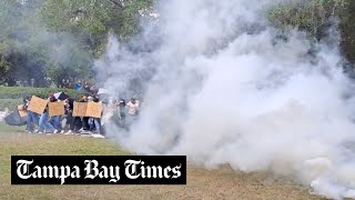 Police use tear gas on pro-Palestinian USF Tampa protesters by Tampa Bay Times 79,589 views 2 weeks ago 56 seconds