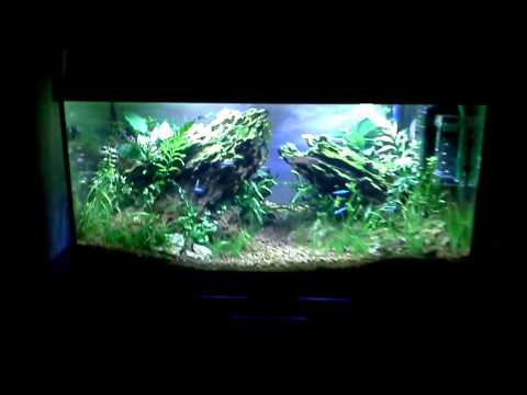 60x30x30 scape aquarium - YouTube