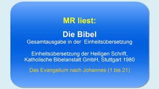 Die Bibel ungekürzt - Deutsche Einheitsübersetzung: X. Lesung - Johannes Evangelium (1 bis 21) screenshot 5