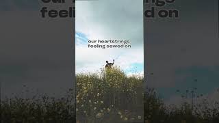 Promise Girl Imma Hold On 