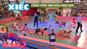 Tiết mục xiếc vui nhộn tại Công viên văn hoá Đầm Sen TPHCM