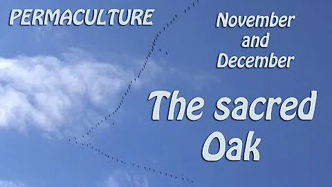 PERMACULTURE - November And December - THE SACRED OAK