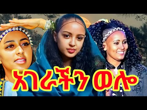 ቀውጢ ባህላዊ ሙዚቃ ወሎ ሪሚክስ Rimix New Ethiopian Music 2026