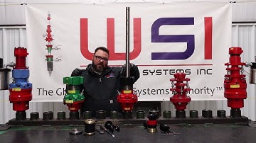 WSI BS Stuffing Box Packing Change