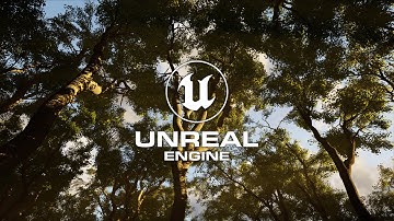 Trees Vol. 4 - Strong Wind Demo - Storm - Various Exposure - Unreal Engine 4.26 (4K)