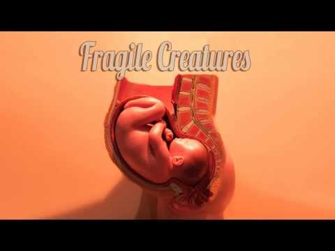 Fragile Creatures / Fragile Creatures / Fragile Creatures EP