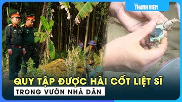 Quy tập được hài cốt liệt sĩ trong vườn nhà dân ở Quảng Trị