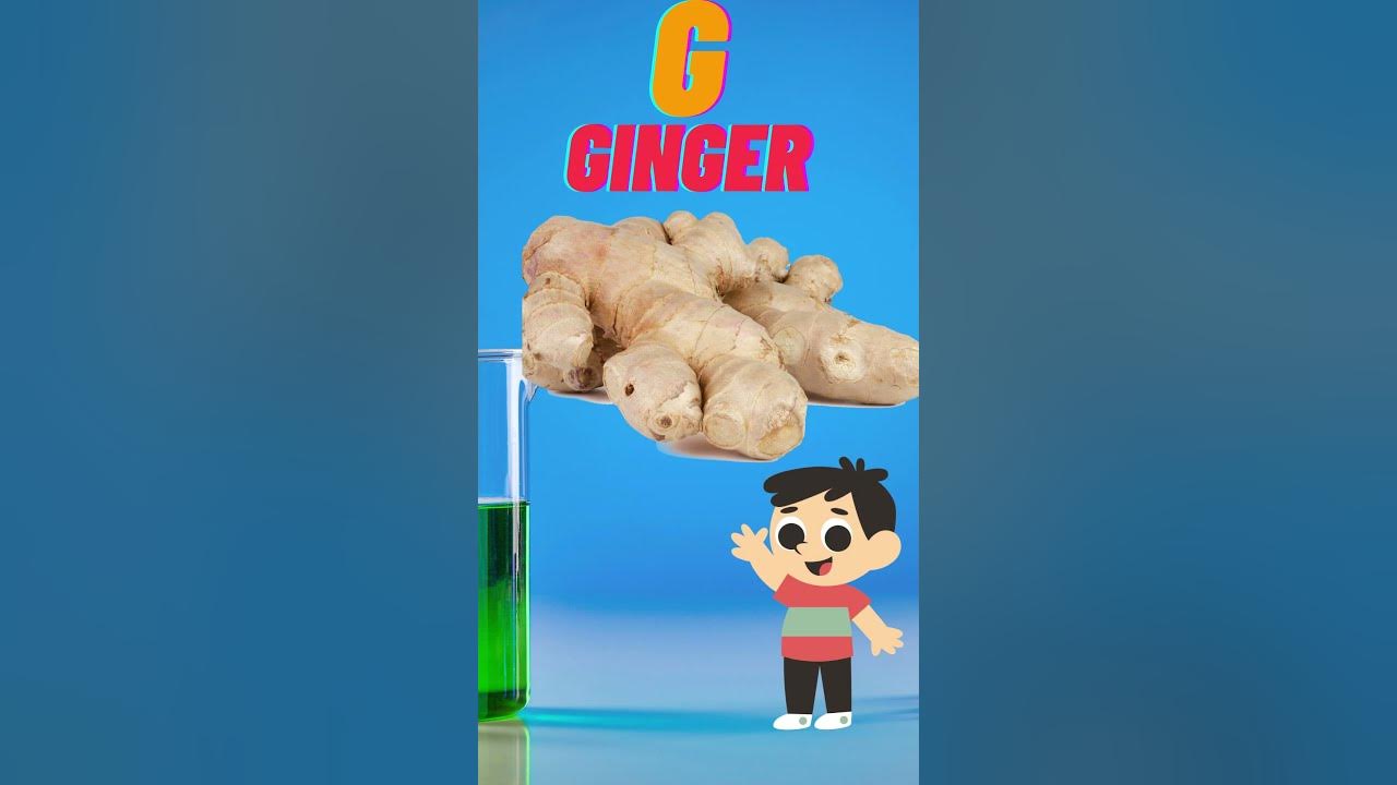 Vegetable Names with Pictures Different Types Of Vegetables Healthy Vegetables Kids Learning