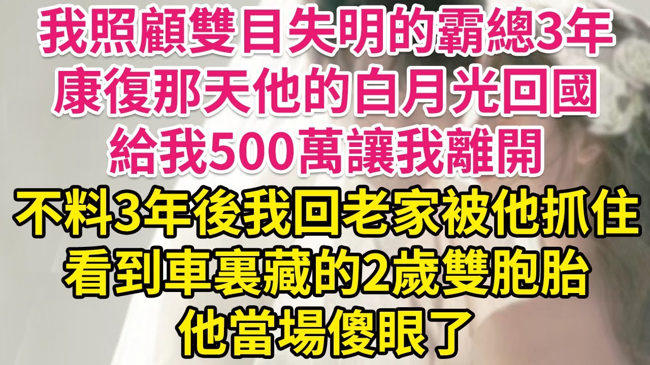 我照顧雙目失明的霸總3年，康復那天他的白月光回國，給我500萬讓我離開。不料3年後我回老家被他抓住，看到車裏藏的2歲雙胞胎，他當場傻眼了！| 琉璃故事匯 | 書屋 | 說書人
