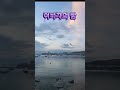 이비자의 밤