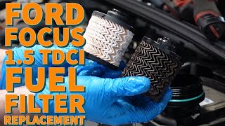 Maintaining Your Ford Focus: Fuel Filter Replacement 1.5 TDCI