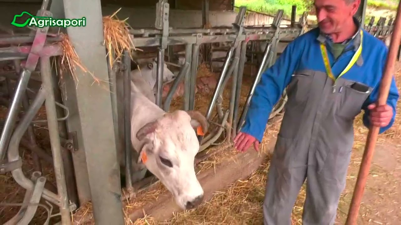 Agricoltura e allevamento in Monferrato - Carinzia un territorio da vivere e da gustare