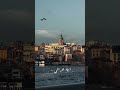 آه يا ويلي من الليالي آه يا ويلي من الليالي