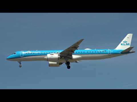 Transavia A321NEO PH-YHR | Brand New Aircraft Spotting at AMS ✈️