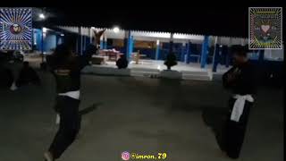 Story WA Pencak Silat Occ. Pangastuti | Keindahan dalam Perbedaan