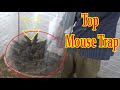 Versi terbaru dari perangkap tikus 2020 | Perangkap Tikus dengan wadah plastik super besar