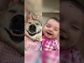 Pictures that make me Thing my Dog and Baby are Related!