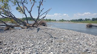 Rock Hounding My Favorite Spot On The Yellowstone river | Billings Montana    July 2022#thefinders