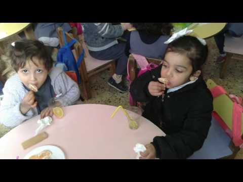 الحمضيات البرتقال و الليمون 