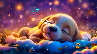 Soothing Piano Music🌿 Deep Sleep Music 💤 Sleeping Music for Deep Sleeping 🌛 Music for Sleep