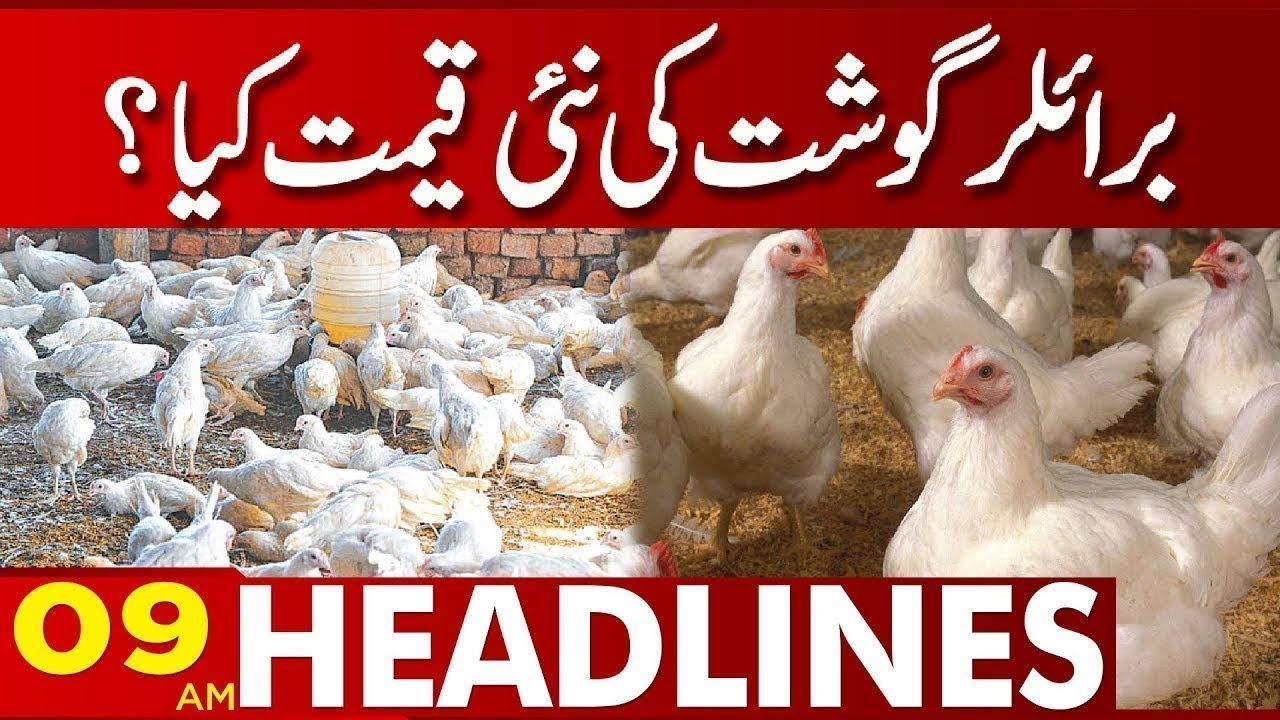 Broiler Chicken Price 09 Am Headlines 27 May 2023 Lahore News HD
