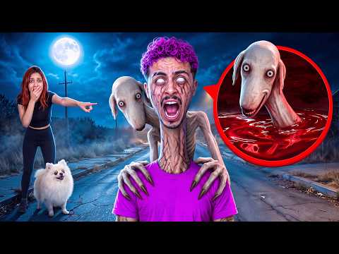 NYKOLAS WAS POSSESSED BY DEXTER THE BLOOD DOG!