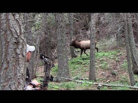 Setting Up for Elk Hunting Success - In the Zone (Episode 3)