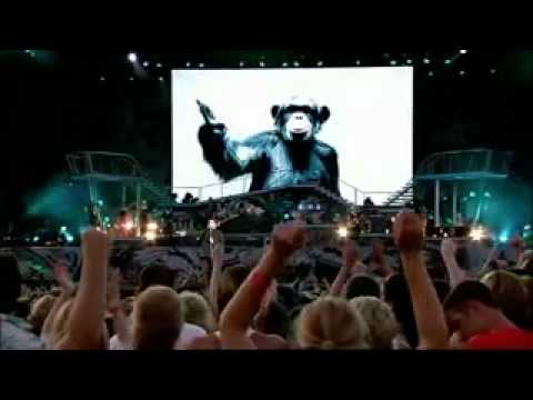 robbie williams-me and my monkey - YouTube