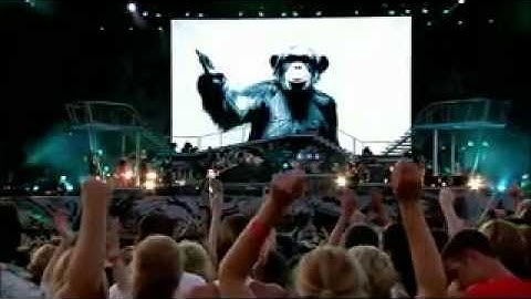 robbie williams-me and my monkey